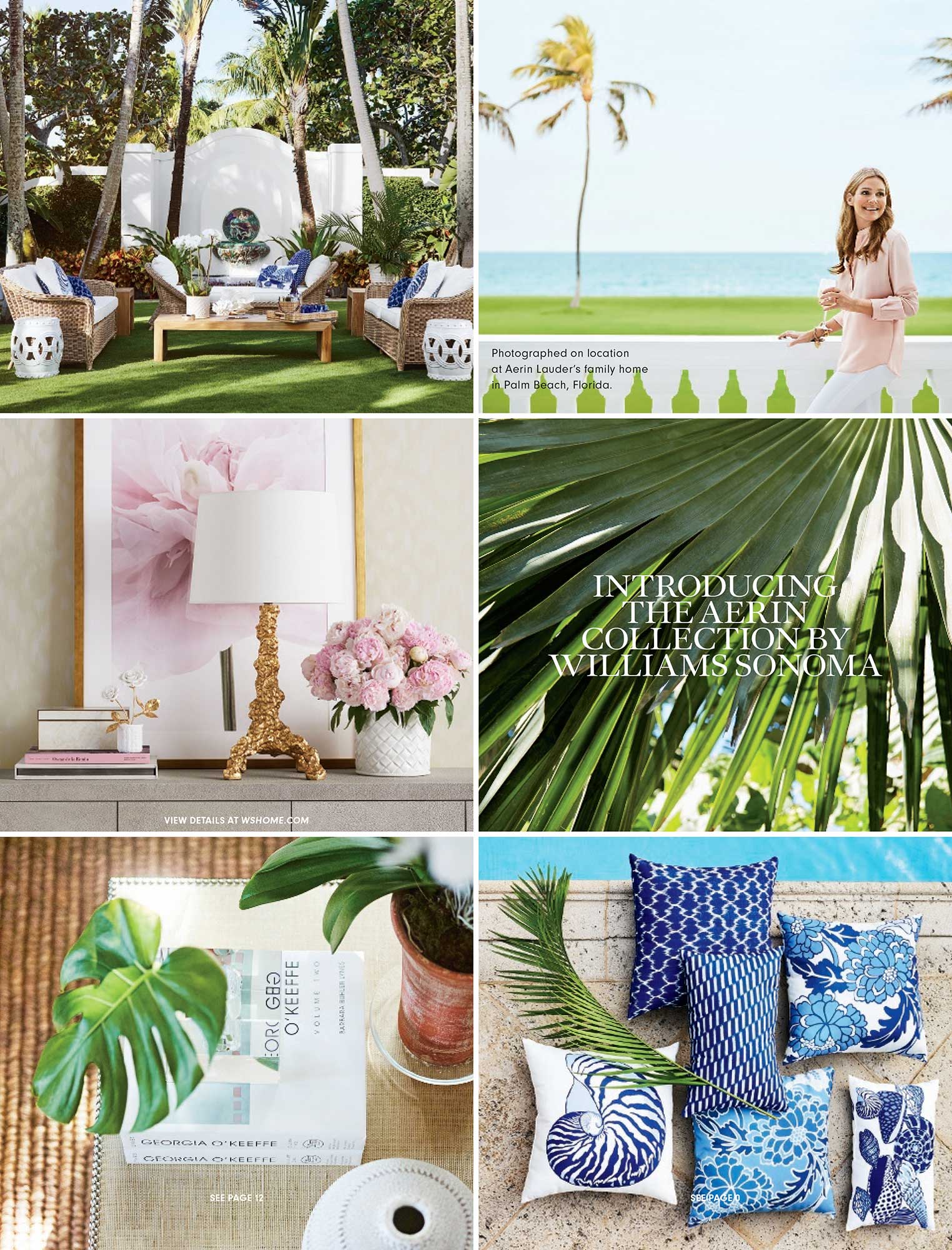 Anson Smart Photography Aerin Lauder Williams Sonoma 11